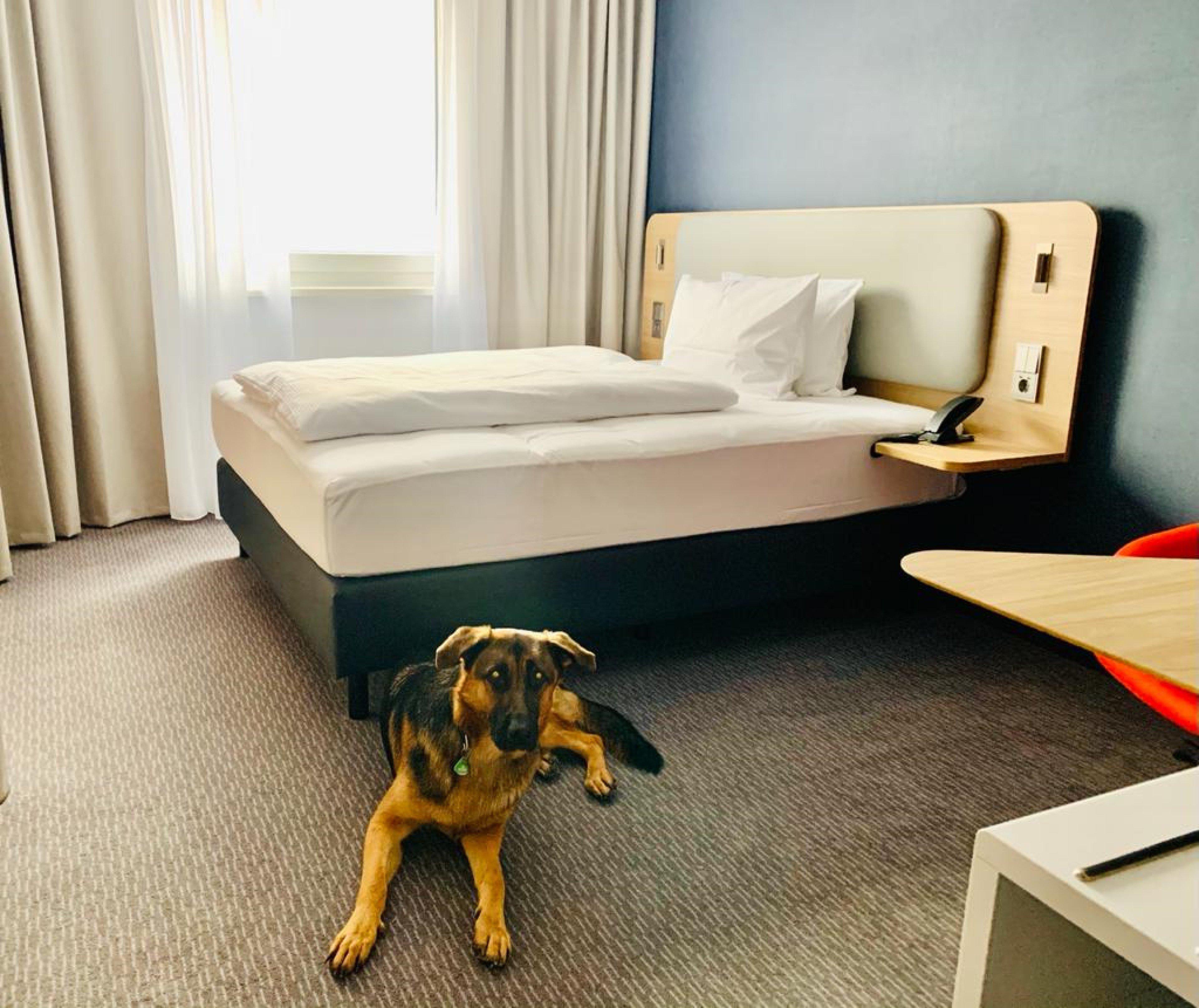 Holiday Inn Express Munich - Olching By Ihg Kültér fotó